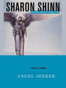      Angel-Seeker
