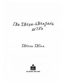      The Shape-Changer's Wife
