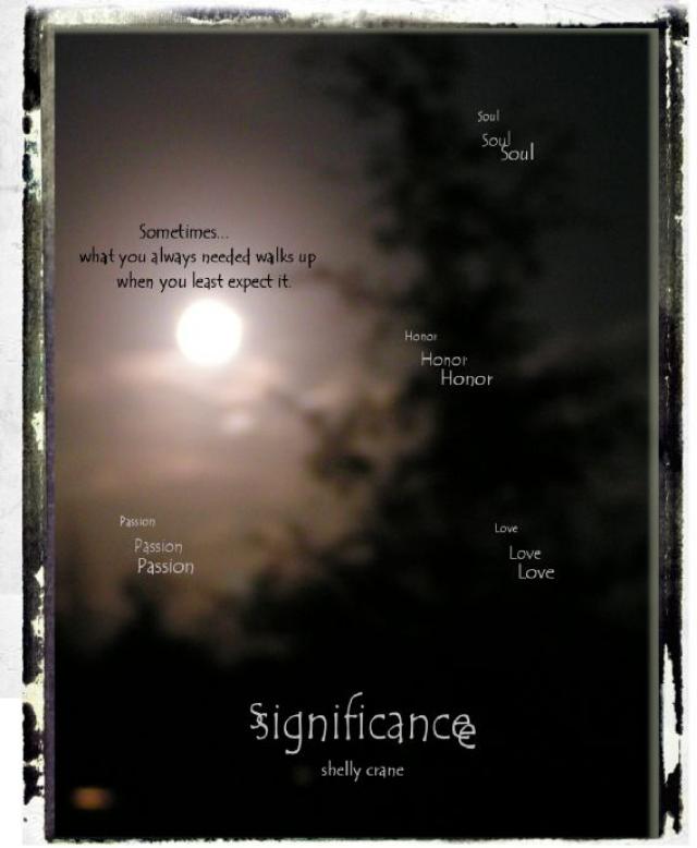books like significance by shelly crane books like significance by shelly crane