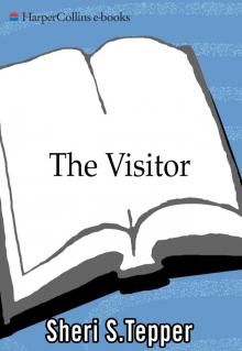      The Visitor