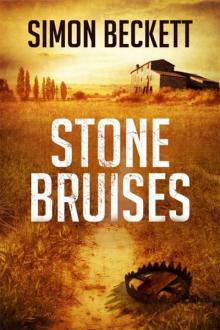      Stone Bruises