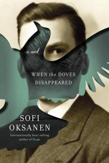      When the Doves Disappeared: A Novel