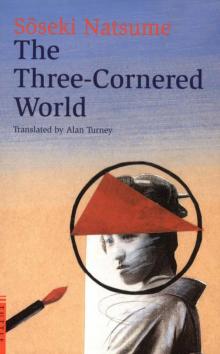      The Three-Cornered World