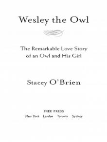      Wesley the Owl