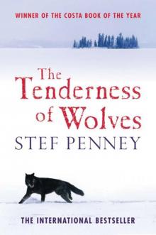      The Tenderness of Wolves