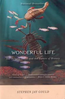      Wonderful Life: The Burgess Shale and the Nature of History