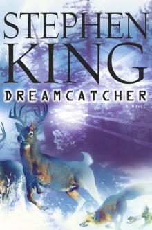 Dreamcatcher Dreamcatcher