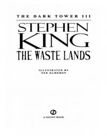      The Waste Lands