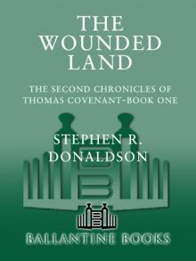      The Wounded Land