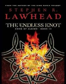      The Endless Knot