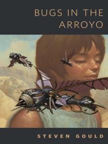      Bugs in the Arroyo