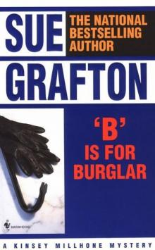      B Is for Burglar