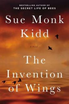      The Invention of Wings