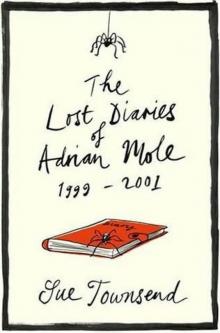      Adrian Mole 07; The Lost Diaries 1999-2001