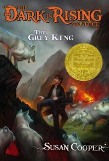      The Grey King