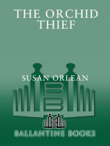      The Orchid Thief