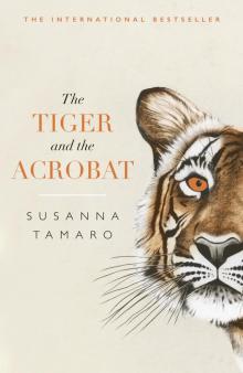      The Tiger and the Acrobat