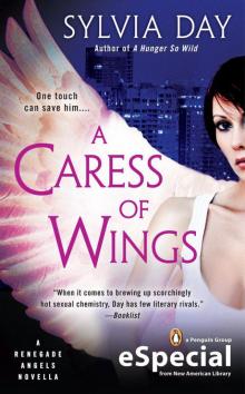      A Caress of Wings