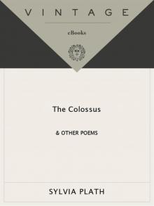      The Colossus