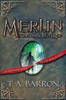      Merlin: The Book of Magic