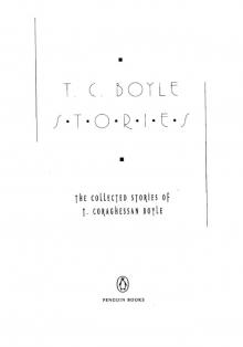      T.C. Boyle Stories
