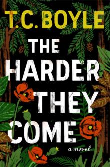      The Harder They Come