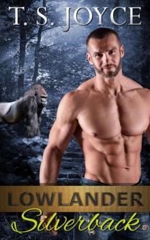      Lowlander Silverback