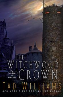      The Witchwood Crown