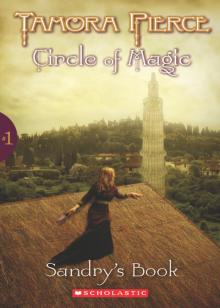      Sandry's Book