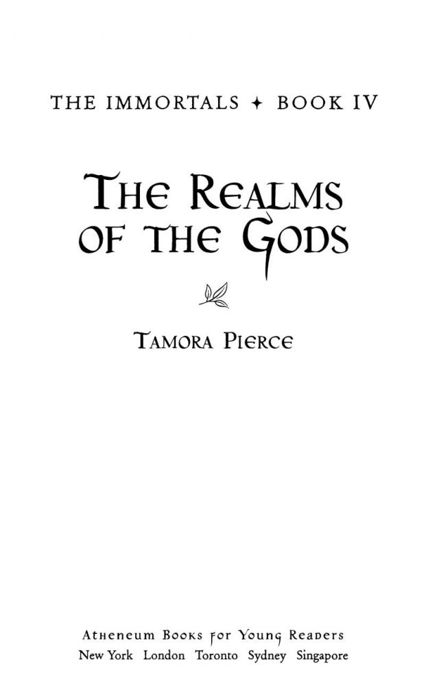 the realms of the gods by tamora pierce the realms of the gods by tamora pierce