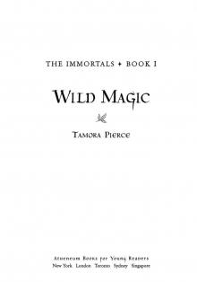      Wild Magic