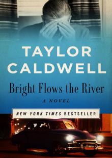      Bright Flows the River