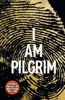      I Am Pilgrim