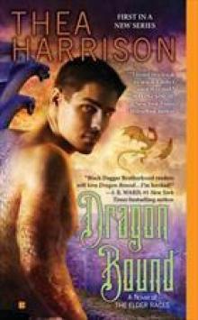      Dragon Bound