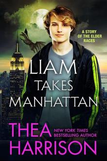      Liam Takes Manhattan
