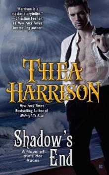      Shadow's End