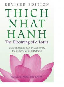      The Blooming of a Lotus