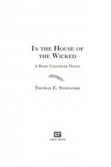      In the House of the Wicked: A Remy Chandler Novel