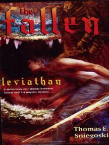      Leviathan