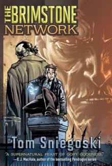      The Brimstone Network (Brimstone Network Trilogy)