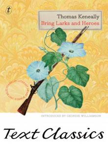      Bring Larks and Heroes