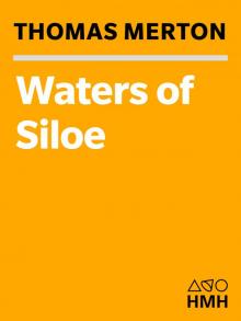     The Waters of Siloe