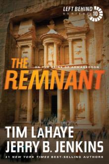      The Remnant: On the Brink of Armageddon