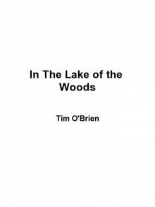      In the Lake of the Woods