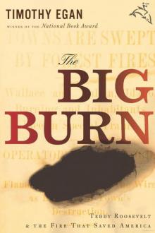      The Big Burn: Teddy Roosevelt and the Fire That Saved America