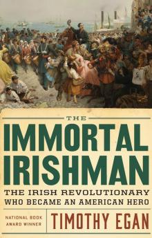      The Immortal Irishman