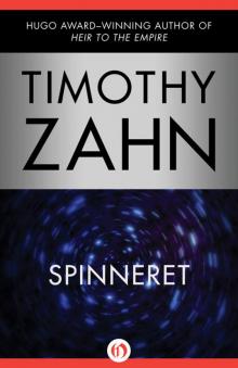      Spinneret