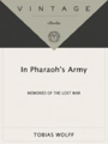      In Pharaoh's Army: Memories of the Lost War