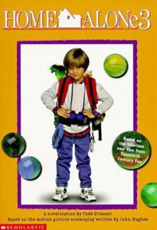      Home Alone 3