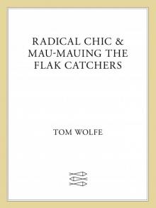      Radical Chic and Mau-Mauing the Flak Catchers